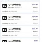 2025风口TK剪映capcut拉新项目，极限高客单，市场空白，2025下半年真正的蓝海项目