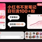 引流系列课14：小红书不发笔记日引流100+粉