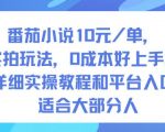 番茄小说10米每单，实拍玩法，0成本好上手，详细实操教程和平台入口适合大部分人