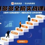 拼多多全阶实战课程，从新手小白到运营高手，海量实战玩法+全年实时更新【2025年10月更新】