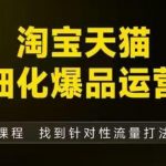 淘宝天猫精细化爆品运营（9月12-14杭州线下课），全方位拆解爆品打造逻辑【音频+字幕+文档】