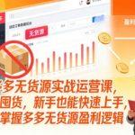 拼多多无货源实战运营课，无需囤货，新手也能快速上手，轻松掌握多多无货源盈利逻辑