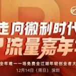 2025ip嘉年华万人12月14深圳线下课，走向微利时代，IP流量嘉年华，实操性极强的商业干货课