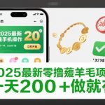 2025最新零撸薅羊毛项目，纯手机操作，20秒一单，无任何门槛，一天200+做就有【揭秘】