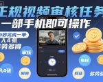 正规视频审核任务，一部手机即可操作，20秒完成一单，日入4张，多劳多得【揭秘】