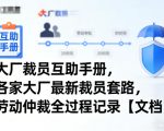 大厂裁员互助手册，各家大厂最新裁员套路，劳动仲裁全过程记录【文档】