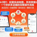 拼多多从0到1：起量实战地图，系统掌握从零启动一个拼多多店铺的完整操作流程