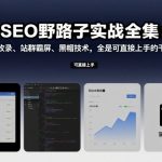 SEO野路子实战全集：快速收录、站群霸屏、黑帽技术，全是可直接上手的干货教程