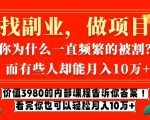 价值3980的网创内部课程，告诉你互联网创业月入10个W的秘密【揭秘】