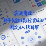 实测有效：拼多多虚拟类目全套玩法，矩阵化布局，稳定日入1K拆解【揭秘】