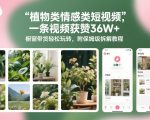 植物类情感类短视频，一条视频获赞36W+，橱窗带货轻松玩转，附保姆级拆解教程