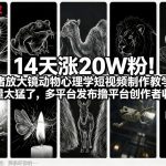 14天涨20W粉！情绪放大镜动物心理学短视频制作教学，流量太猛了，多平台发布撸平台创作者收益