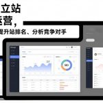 谷歌独立站SEO运营，手把手教你提升网站排名、分析竞争对手（更新2026）