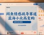闲鱼情感疏导赛道，蓝海小众高复购，高客单实操详细教程，新手能直接落地