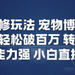 视频号邪修玩法宠物博客短视频，播放量轻松破百万，转化率高，变现能力强，小白直接上手