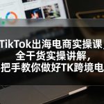 TikTok出海电商实操课，全干货实操讲解，手把手教你做好TK跨境电商