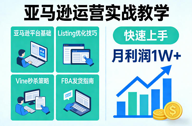 亚马逊运营实战教学，亚马逊平台+Listing优化+Vine秒杀+FBA发货等，快速上手，实现店铺月利润1W-资源云