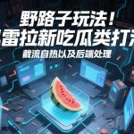 野路子玩法！迅雷拉新吃瓜类打法，截流自热以及后端处理