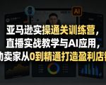 亚马逊实操通关训练营，直播实战教学与AI应用，助卖家从0到精通打造盈利店铺（更新3月）