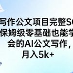 AI写作公文项目完整SOP，保姆级零基础也能学会的AI公文写作，月入5k+