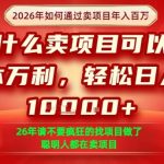 一单净利润1K+，26年想年入100个W，死磕卖项目就够了【揭秘】