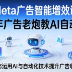 Meta广告智能增效课，11年广告老炮教AI自动化，助您运用AI与自动化技术提升广告收益