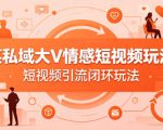 某私域大V情感短视频玩法，短视频引流闭环玩法