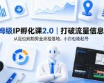 保姆级IP孵化课2.0｜打破流量信息差，从定位到拍剪全流程落地，小白也能起号