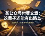 某公众号付费文章：这辈子还能有出路么