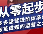 拼多多运营进阶系统课，从零起步，多多运营进阶体系课，破茧成蝶的运营之术（更新26年4月）