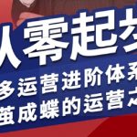 拼多多运营进阶系统课，从零起步，多多运营进阶体系课，破茧成蝶的运营之术（更新26年4月）