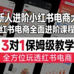 从新人进阶小红书电商大佬，红书电商全面进阶课程，3对1保姆级教学，全方位玩透红书电商