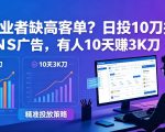 自由职业者缺高客单？日投10刀搞FB+INS广告，有人10天赚3K刀！【原创双语字幕】