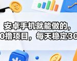 安卓手机就能做的，纯0撸项目，每天稳定30+