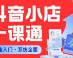 从0到1学会抖音小店系统课程，全程从0到1手把手教学，帮你避开90%新手误区