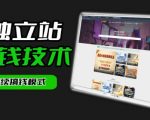 干货来袭！麦子甜带你吃透独立站｜从搭建到引流一站式教学《独立站》第一期