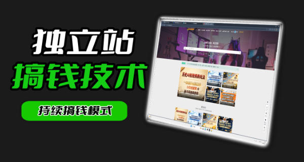 麦子甜：独立站从0到1搭建与引流全解析-鱼渣资源