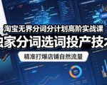 淘宝无界分词分计划高阶实战课，独家分词选词投产技术，精准打爆店铺自然流量