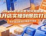 Shopee虾皮运营30天陪跑课，从开店实操到爆款打造，稳步撬动跨境店铺盈利增收