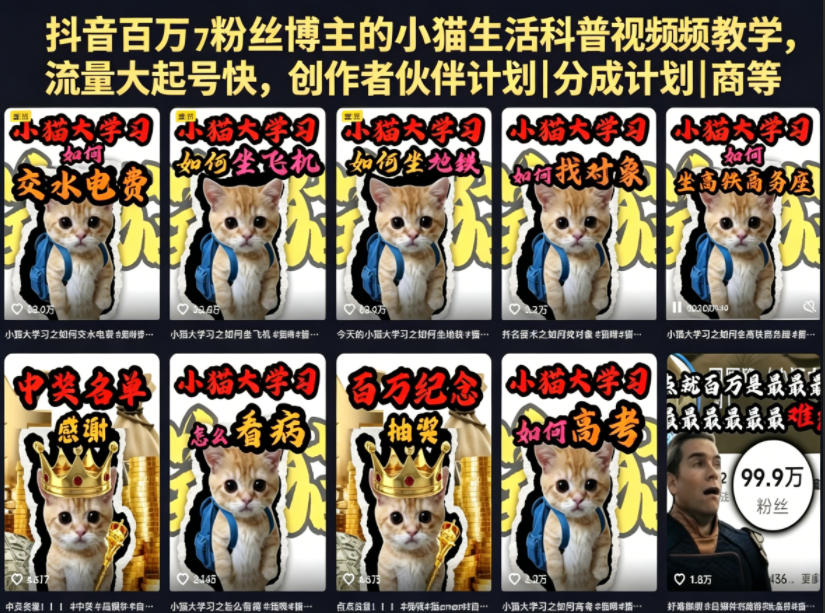 抖音百万粉丝博主的小猫生活科普涨粉技巧(创作者收益、商单合作等) 抖音百万粉丝博主的小猫生活科普涨粉技巧(创作者收益、商单合作等)
