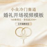 小众冷门赛道，婚礼开场视频模板，168条笔记，变现超20W+【详细教程】