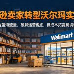 亚马逊卖家转型沃尔玛实战课，深挖平台蓝海流量，破解运营痛点，低成本拓宽跨境增收渠道