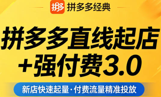 拼多多从零到百万：2024年最新起店技巧+流量运营实操指南