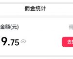 AI图文带货项目，操作2周卖出37件，已结算佣金219