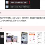 KS项目2.0期-拆本周结1W项目思路，几张图撬动流量群体，真的生猛