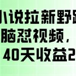 番茄小说拉新野路子玩法，无脑怼视频，玩法简单、见效快，每单10米，40天收益27950
