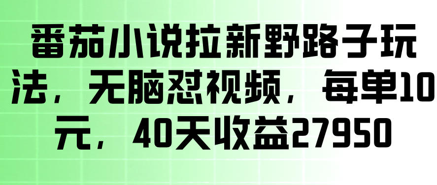 番茄小说拉新野路子玩法,无脑怼视频,玩法简单、见效快,每单10米,40天收益27950-水滴知识网