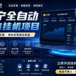 苏宁全自动采集挂G项目，稳定可批量，单窗口收益30+，可矩阵放大收益【揭秘】