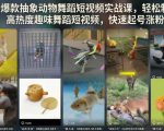 抖音爆款抽象动物舞蹈短视频实战课，轻松制作高热度趣味舞蹈短视频，快速起号涨粉