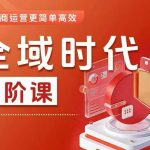 全域时代进阶课，更简单高效的全域投放实操，让电商运营更简单高效（更新）